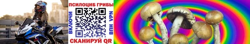 Купить закладки  Дудинка  Галлюциногенные грибы Cubensis 